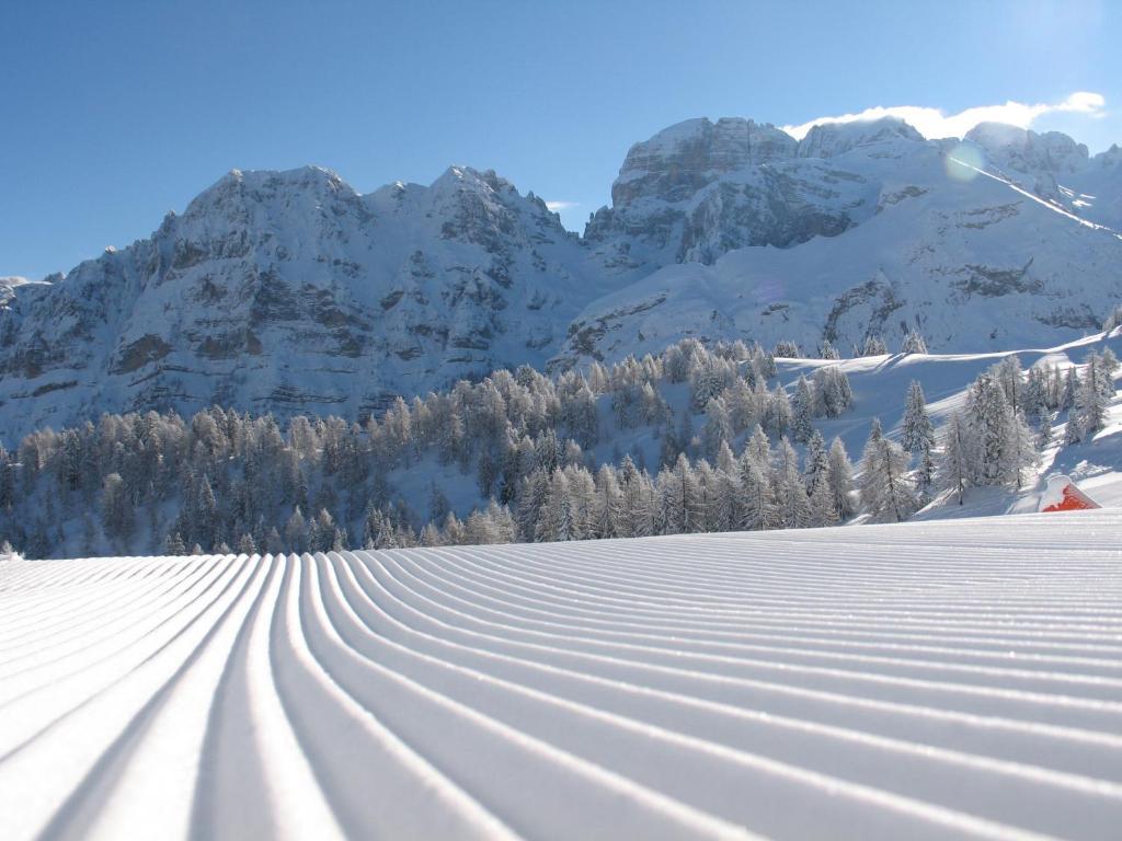Chalet Fiocco Di Neve Пинцоло Екстериор снимка